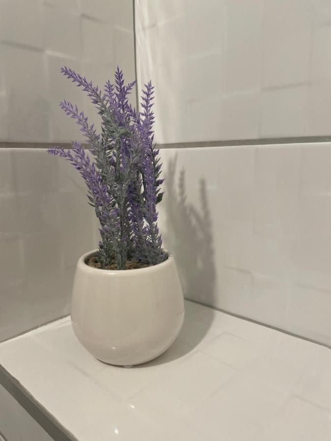 Drinka Parlament Center Apartment 베오그라드 외부 사진